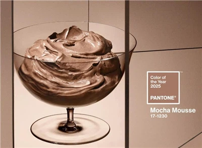 Pantone’s Color of the Year 2025 : PANTONE 17-1230TCX