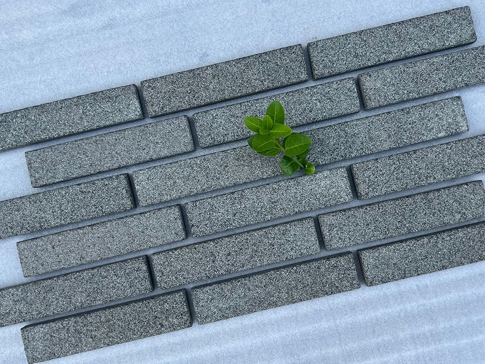 20240530165354 20240530165354